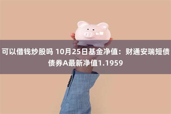 可以借钱炒股吗 10月25日基金净值：财通安瑞短债债券A最新净值1.1959