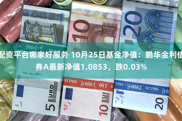 配资平台哪家好服务 10月25日基金净值：鹏华金利债券A最新净值1.0853，跌0.03%