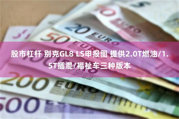 股市杠杆 别克GL8 LS申报图 提供2.0T燃油/1.5T插混/福祉车三种版本