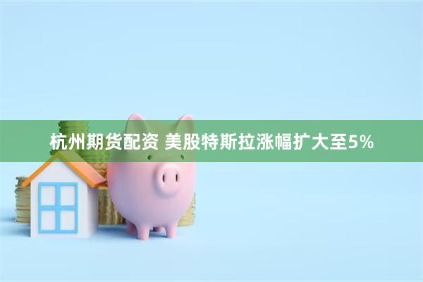 杭州期货配资 美股特斯拉涨幅扩大至5%