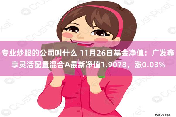专业炒股的公司叫什么 11月26日基金净值：广发鑫享灵活配置混合A最新净值1.9078，涨0.03%