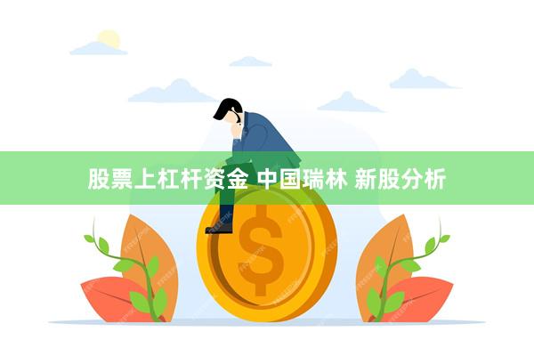 股票上杠杆资金 中国瑞林 新股分析