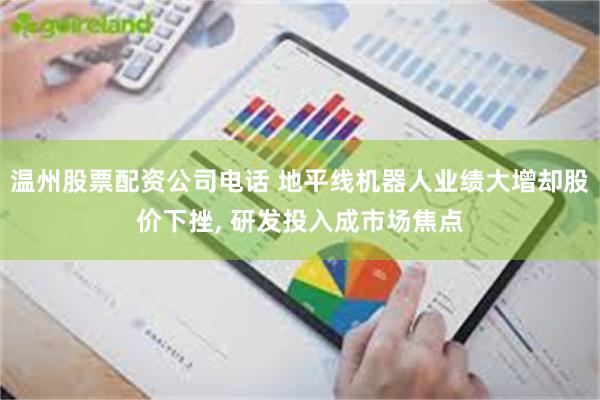 温州股票配资公司电话 地平线机器人业绩大增却股价下挫, 研发投入成市场焦点