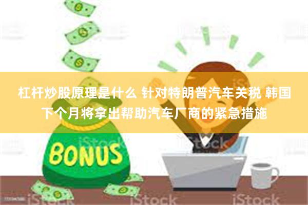 杠杆炒股原理是什么 针对特朗普汽车关税 韩国下个月将拿出帮助汽车厂商的紧急措施