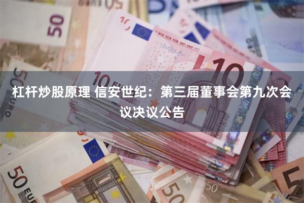 杠杆炒股原理 信安世纪：第三届董事会第九次会议决议公告