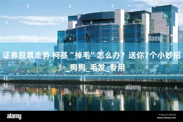证券股票走势 柯基“掉毛”怎么办？送你7个小妙招！_狗狗_毛发_专用