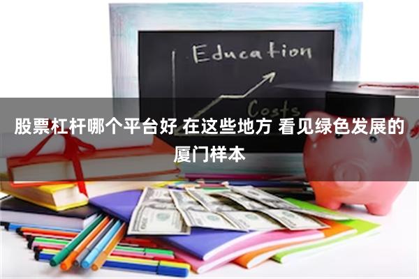 股票杠杆哪个平台好 在这些地方 看见绿色发展的厦门样本