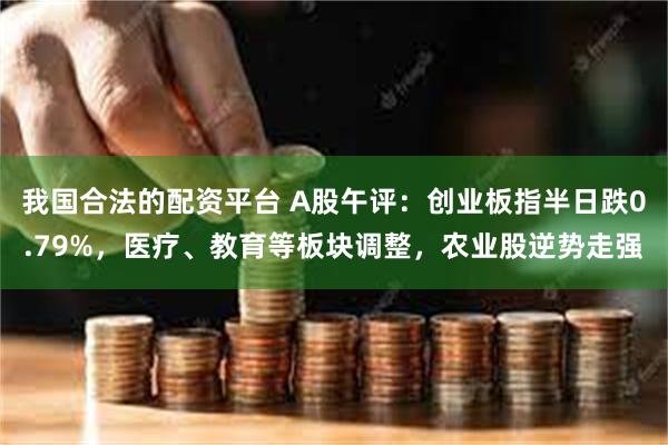 我国合法的配资平台 A股午评：创业板指半日跌0.79%，医疗、教育等板块调整，农业股逆势走强