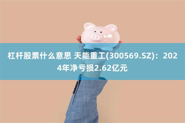 杠杆股票什么意思 天能重工(300569.SZ)：2024年净亏损2.62亿元