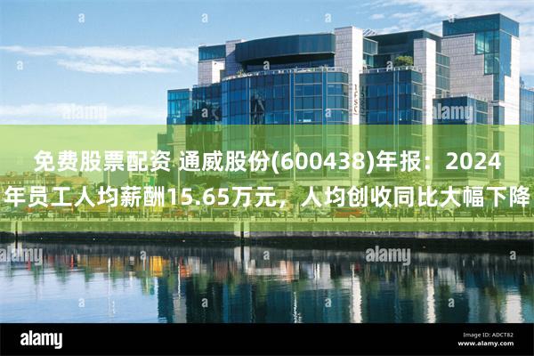 免费股票配资 通威股份(600438)年报：2024年员工人均薪酬15.65万元，人均创收同比大幅下降