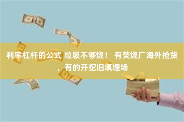 利率杠杆的公式 垃圾不够烧！ 有焚烧厂海外抢货，有的开挖旧填埋场
