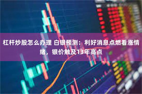 杠杆炒股怎么办理 白银预测：利好消息点燃看涨情绪，银价触及13年高点