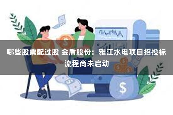 哪些股票配过股 金盾股份：雅江水电项目招投标流程尚未启动