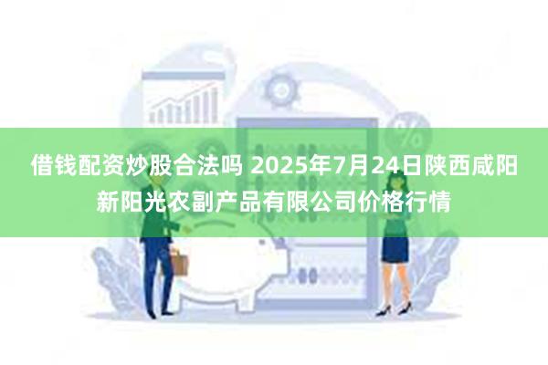借钱配资炒股合法吗 2025年7月24日陕西咸阳新阳光农副产品有限公司价格行情