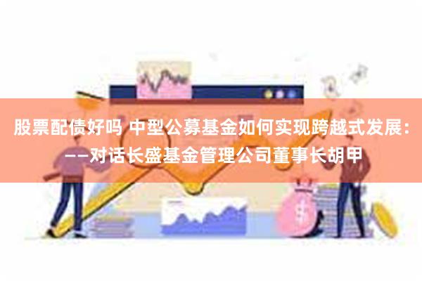 股票配债好吗 中型公募基金如何实现跨越式发展： ——对话长盛基金管理公司董事长胡甲